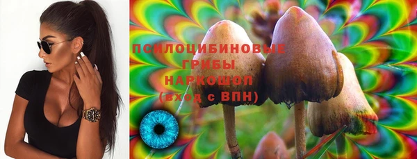 гидропоника Каменногорск