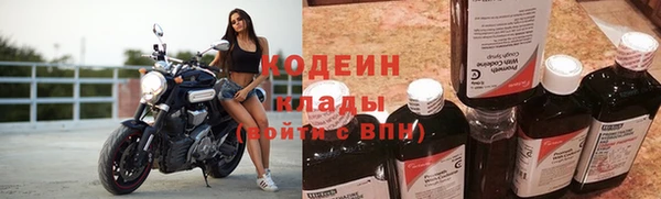 ГАЛЛЮЦИНОГЕННЫЕ ГРИБЫ Каменка