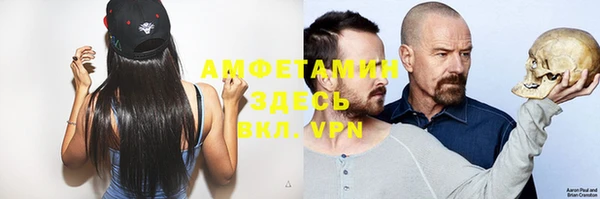 ГАЛЛЮЦИНОГЕННЫЕ ГРИБЫ Каменка
