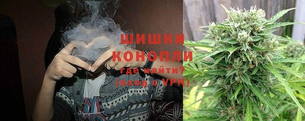 ГАЛЛЮЦИНОГЕННЫЕ ГРИБЫ Каменка