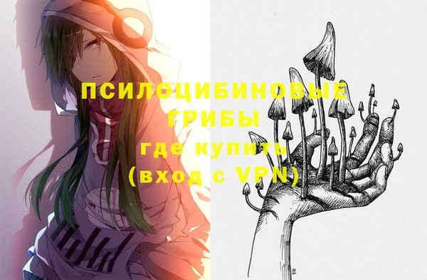 ГАЛЛЮЦИНОГЕННЫЕ ГРИБЫ Каменка