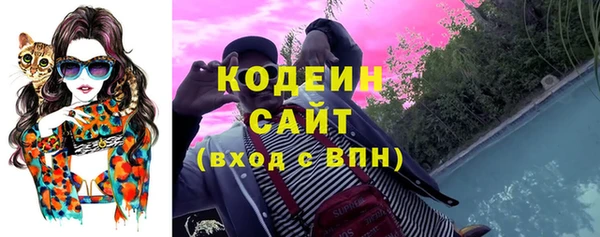 ГАЛЛЮЦИНОГЕННЫЕ ГРИБЫ Каменка