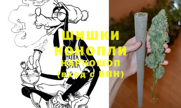 ГАЛЛЮЦИНОГЕННЫЕ ГРИБЫ Каменка