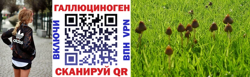 Галлюциногенные грибы Magic Shrooms  Катайск 