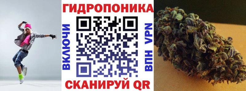 купить Катайск Бошки марихуана индика